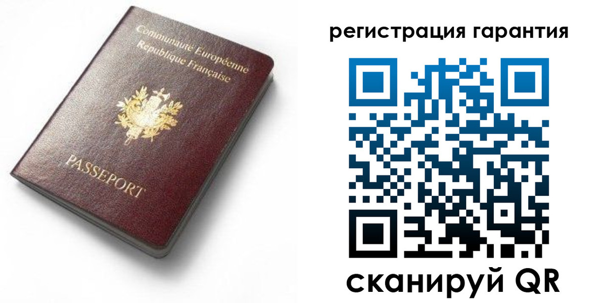 прописка для школы в Ленинградской области